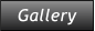 Gallery Gallery